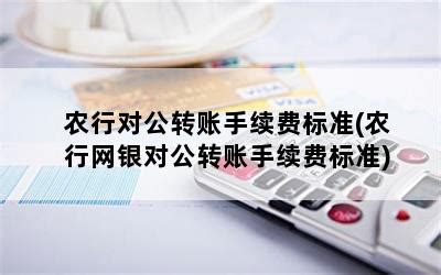 中国农业银行对公结算业务申请书改版