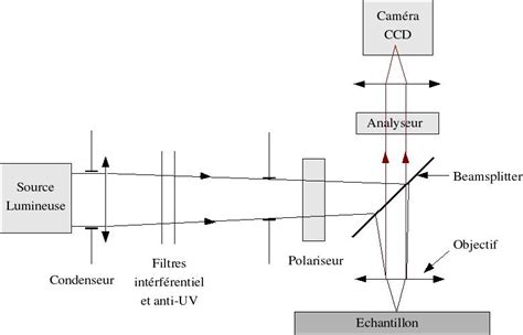 6: schéma optique de l'intérieur du microscope. | Download Scientific ...