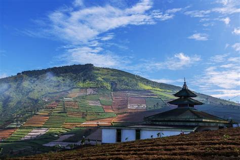 Java Field Map 的图像结果