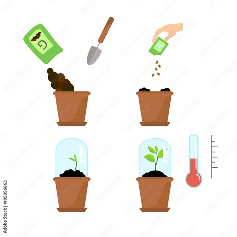 Image result for Tree-Planting Steps