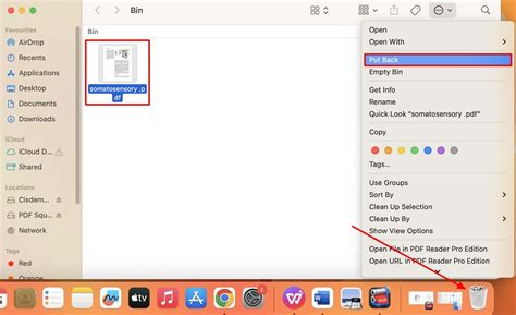 Retrieve PDF File 的图像结果