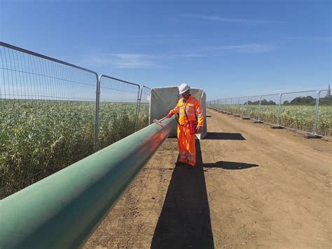 Image result for Pinhole Testing