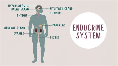 Dr. Jennifer Huynh Medicine Professional Corporation