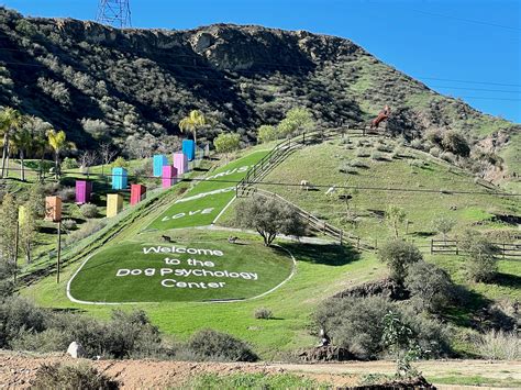 Cesar Milan Dog Psychology