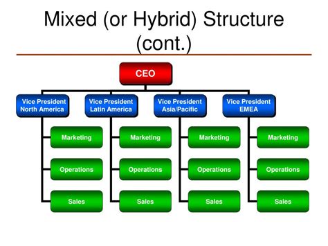 Functional Organisation Structure 的图像结果