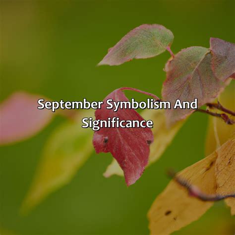 What Color Is September - colorscombo.com