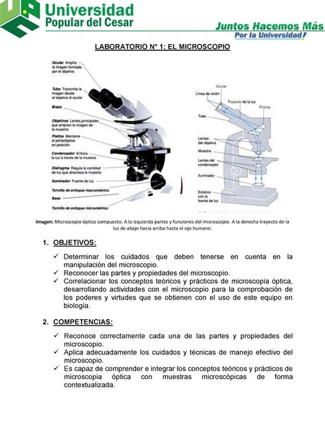 Qué Oxida El Cobre: Un Vistazo A La Química Detrás Del Proceso ...