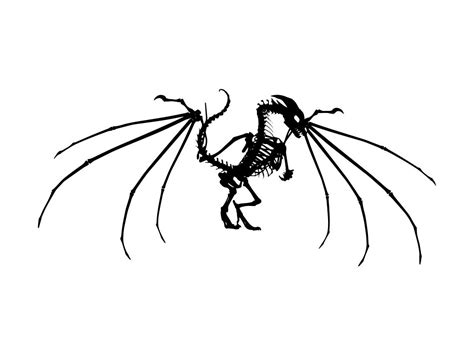 Dragon Skeleton Drawing 的图像结果