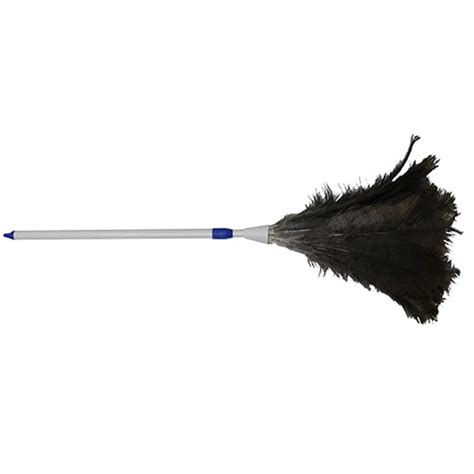 Using Feather Duster 的图像结果