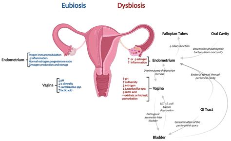 What Is A Femcel