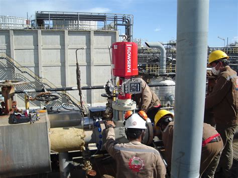 Image result for Flow Control Valve Installation