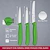 Buy Victorinox Stainless Steel Kitchen Knife Set of 3, Swiss Classic ...