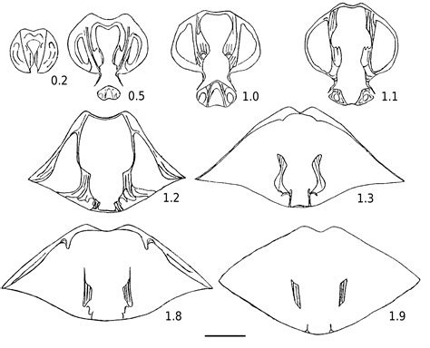 Generalization of backpropagation with application to a recurrent gas market model | Zenodo
