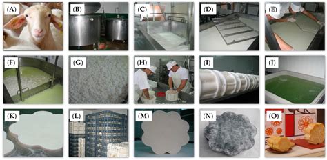 Salt Distribution in Raw Sheep Milk Cheese during Ripening and the ...