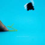 A Pounce of Pouncing Pom Pom Cats - Left Brain Craft Brain