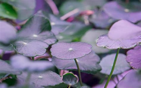 Image result for Interstellar Lab