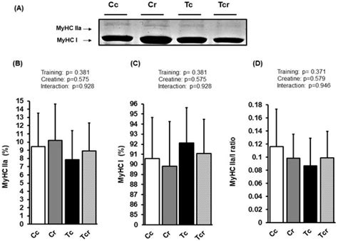 Effects of Creatine Supplementation on the Myostatin Pathway and Myosin ...
