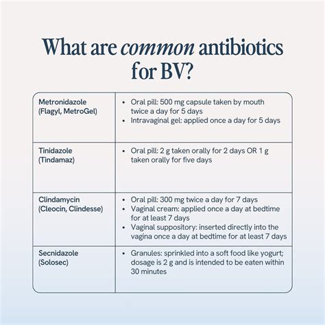Topical Antibiotic For Bv at Mary Smithey blog