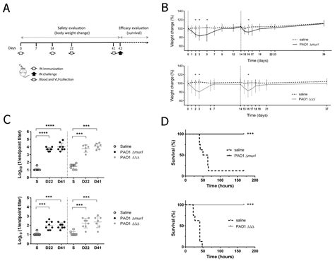 Double Auxotrophy to Improve the Safety of a Live Anti-Pseudomonas ...