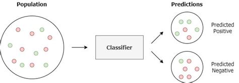 Image result for Genotype Example