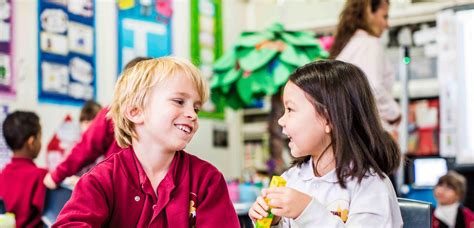 Individual Learning 的图像结果