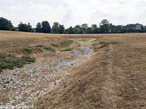 Image result for How to Capture a Spring