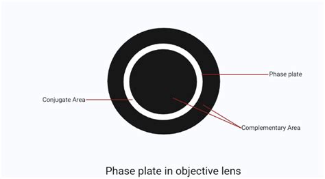 Image result for Phase Ring Alignment