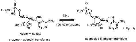 Phosphorus Compounds of Natural Origin: Prebiotic, Stereochemistry ...