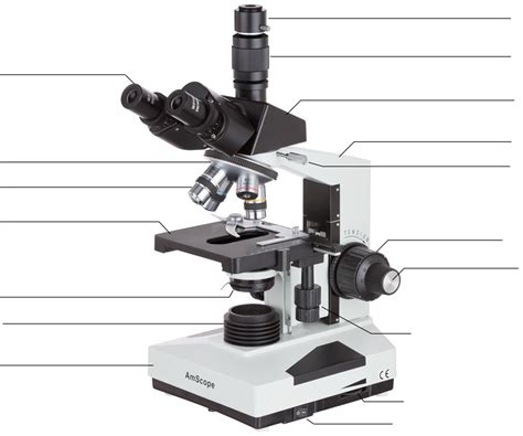 Image result for Biological Drawing of Compounb Light Microscope