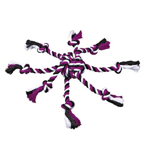 Up to 40% Off on Dog Products | Big Savings at BellyRubsIndia