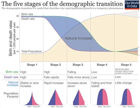 Population Pyramids | Concise Medical Knowledge