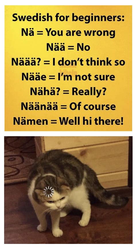 Image result for Perfectly Not Confusing Meme