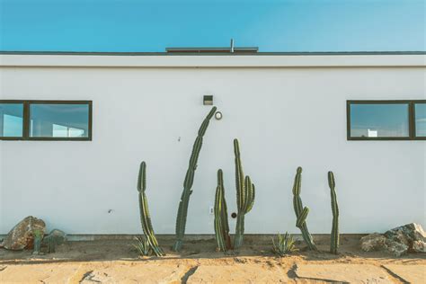 Photo 15 of 37 in Starlit Sky House by Edgar Romero - Dwell