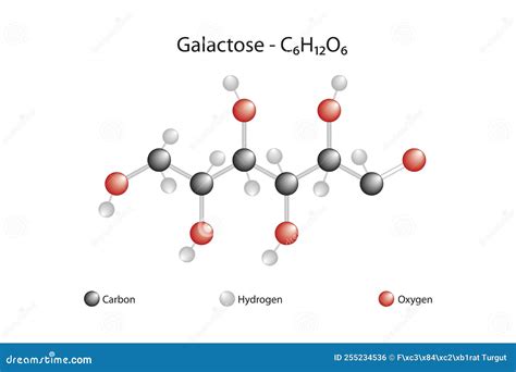 Molecular Formula and Chemical Structure of Galactose Stock Vector - Illustration of sugar ...