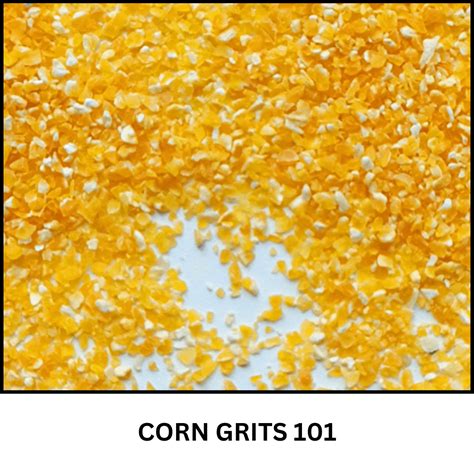 Maize Exporters in UAE, Mexico, and Other Countries - Akshar international