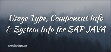 Image result for SAP Source Code Java