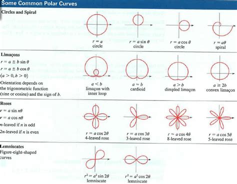 Polar and Rectangular Graphs 的图像结果