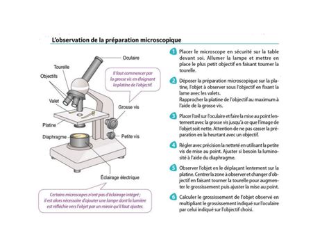 Graphique SVT 的图像结果