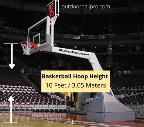 Basketball Ring Height at Russel Sanders blog