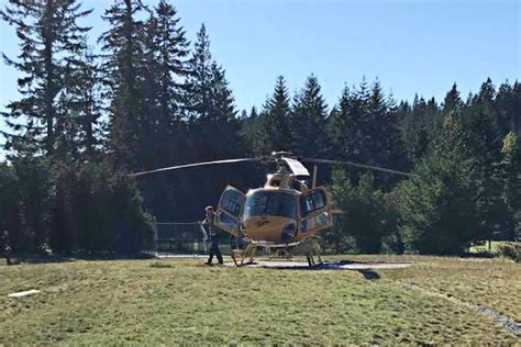 Tree Climber Death 的图像结果