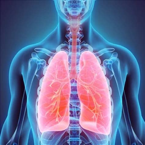 World Tuberculosis Day 2022: આજે વિશ્વ ટીબી દિવસ, સૌથી જીવલેણ સંક્રમણનો ...