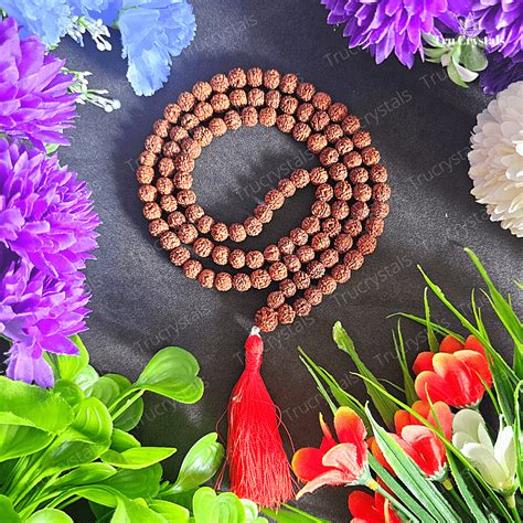 Panchamukhi Rudraksha Mala – Trucrystals.in