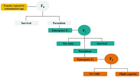 Harmful to Parents, Harmless to Offspring: Lethal and Transgenerational ...
