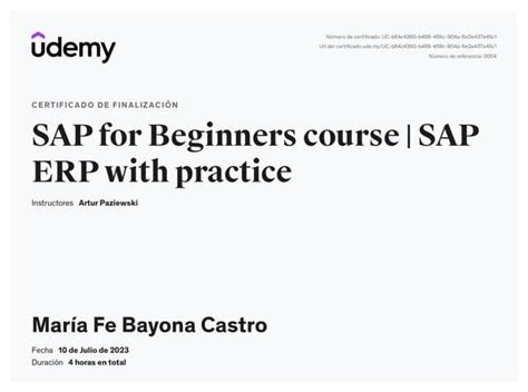 Image result for Learning SAP for Beginners