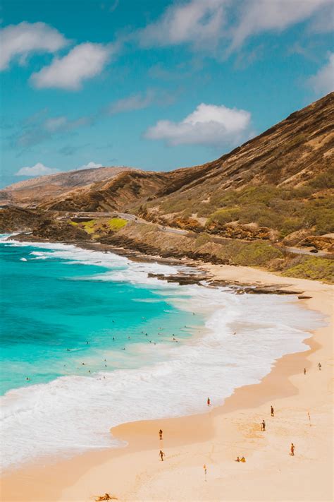 Download People On Beach Android Wallpaper | Wallpapers.com