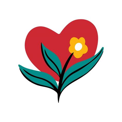 Caring for Air Plants 的图像结果