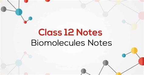 Image result for Biomolecules Class 12th