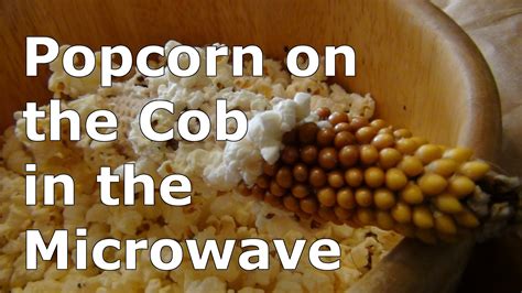 What Is Popcorn On The Cob at Angelina Feliciano blog