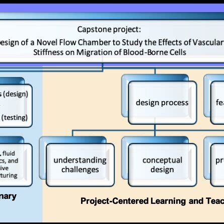 Image result for What Is Capstone Project