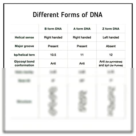 Different Forms of DNA 的图像结果